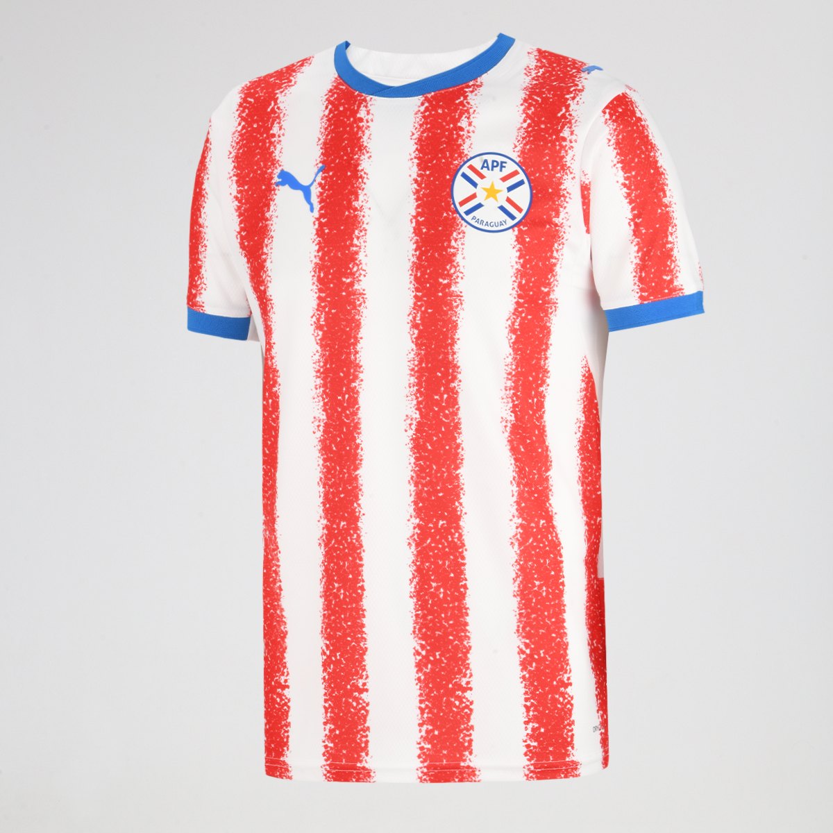 CAMISETA APF 2026